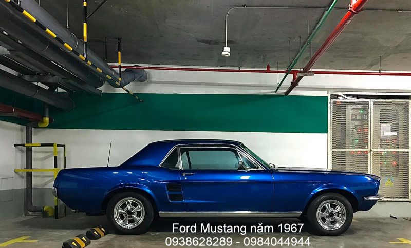 Cho thuê xe cổ Ford Mustang ở TPHCM