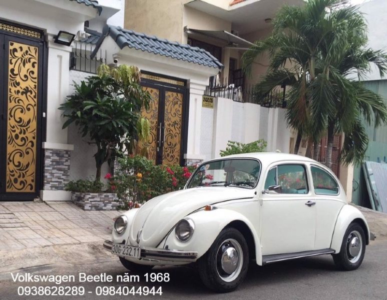 Cho thuê xe cổ Volkswagen Beetle năm 1968 tại TPHCM