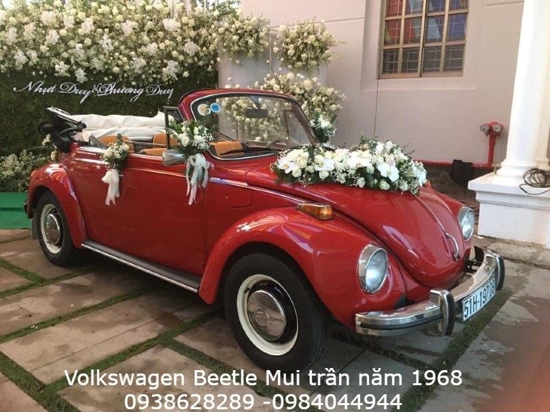 Cho thuê xe cổ Volkswagen Beetle năm 1966 tại TPHCM